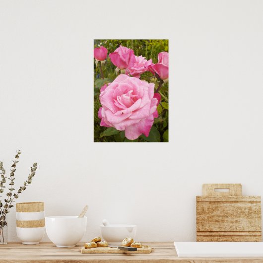 Roze Roze Rozen Bloemen Tuin Poster (Keuken)