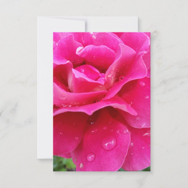 roze roze rozenbladen (Voorkant)