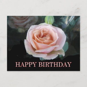Roze roze rozenverjaardagsgroeten briefkaart
