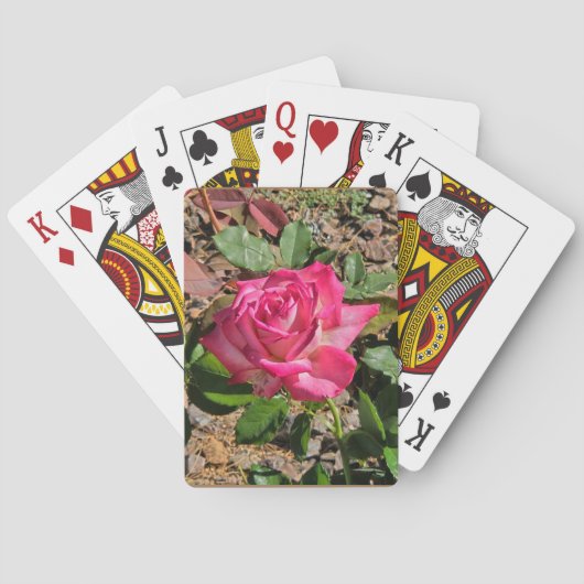 Roze roze speelkaarten (Achterkant)