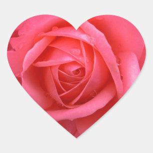 Roze roze Stickers Roze roze roze rots keepslag