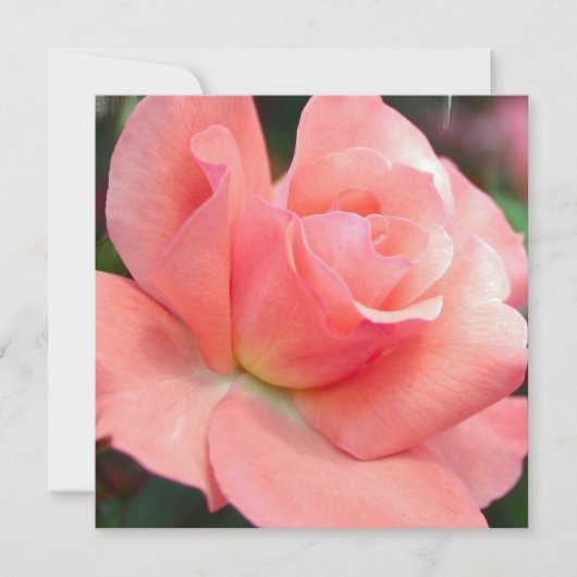 Roze Roze Uitnodigingen (Voorkant)