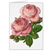  roze rozen (Voorkant)