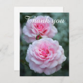 Roze rozen bedankt (Voorkant / Achterkant)