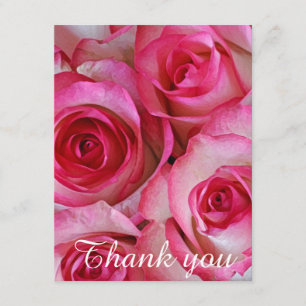 Roze rozen bedankt