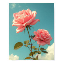 Roze Rozen Blauwe Lucht Botanische Bloemkunst
