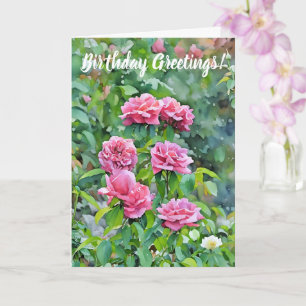 Roze Rozen Bloeiende Tuin Art Verjaardag Kaart