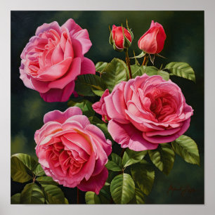 Roze Rozen Bloem Art Print Poster
