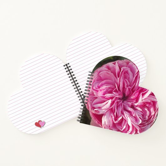 Roze Rozen bloemen Florence Name Womans Notitieboek (Binnen)