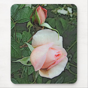 roze rozen bloemen muismat