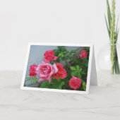 Roze Rozen Bloemstuk Kaart (Voorkant)