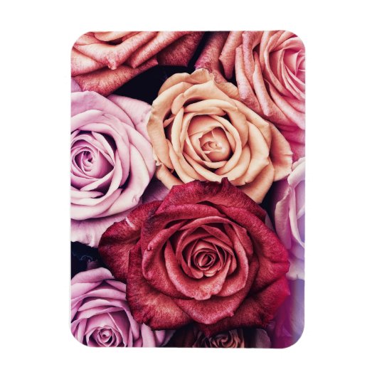 Roze Rozen Boeket Foto Magneet (Verticaal)