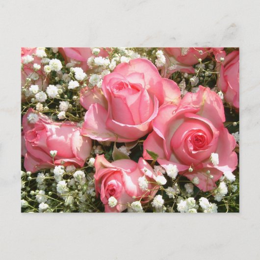 Roze Rozen | Briefkaart (Voorkant)