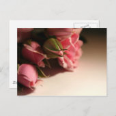 Roze rozen briefkaart (Voorkant / Achterkant)