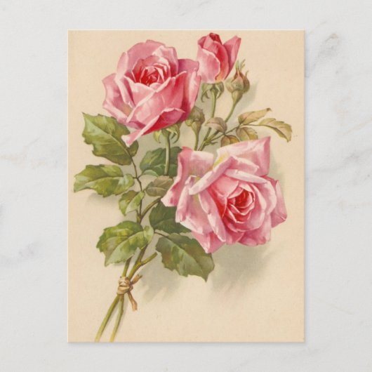  roze rozen briefkaart (Voorkant)
