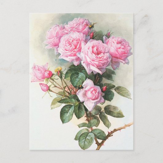  roze rozen Briefkaart schilderen (Voorkant)