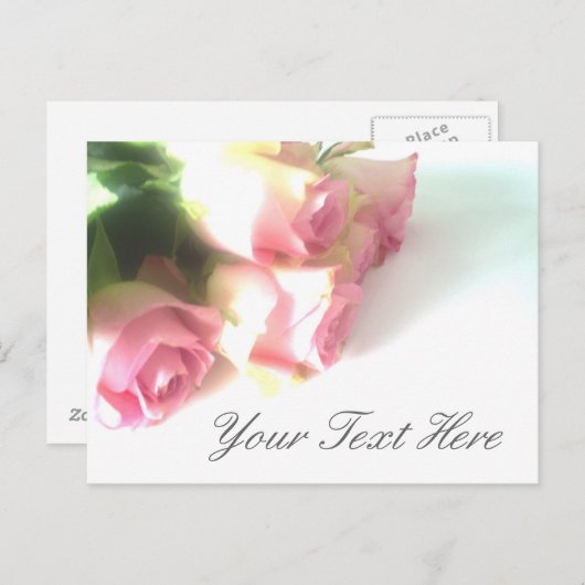 Roze rozen briefkaarten (Voorkant / Achterkant)