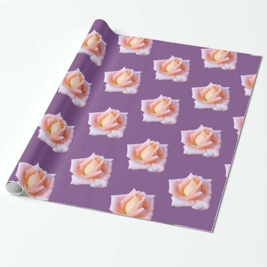 Roze rozen cadeaupapier (Uitgerold)