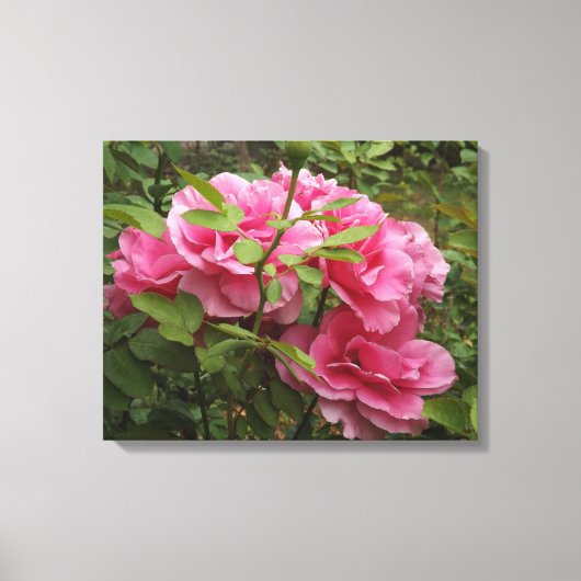 Roze rozen canvas afdruk (Voorkant)