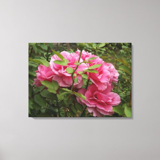 Roze rozen canvas afdruk (Voorkant)