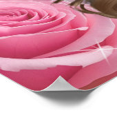 Roze Rozen Funeral Kist Inzet Paneel Roze Lucht Poster (Hoek)