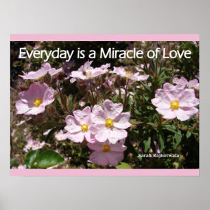 Roze Rozen Garden Flowers Love Poster