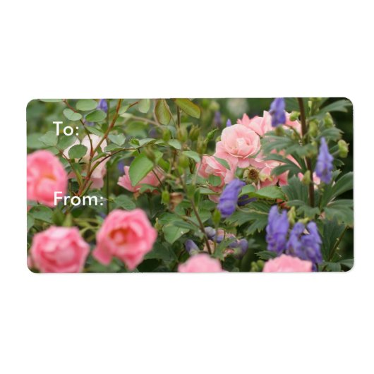 Roze rozen in een Roos tuin Etiket (Voorkant)