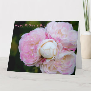 Roze rozen kaart