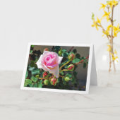 Roze Rozen Kaart (Gele Bloem)