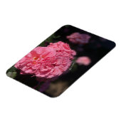 Roze rozen magneet (Linkerzijde)
