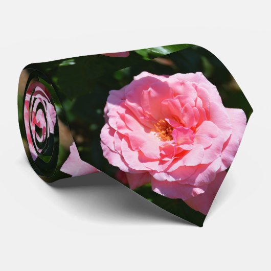 Roze rozen mode stropdas (Opgerold)