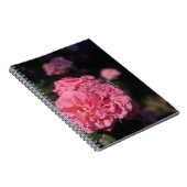 Roze rozen notitieboek (Rechterzijde)
