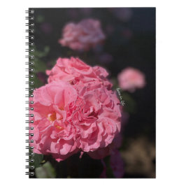 Roze rozen notitieboek