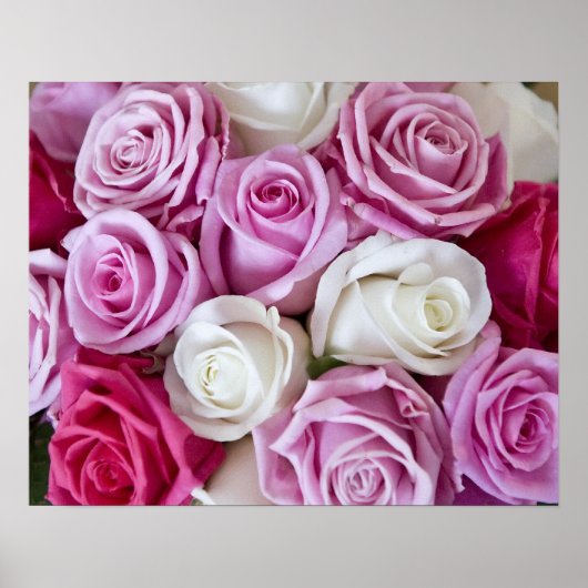 Roze rozen op canvas poster (Voorkant)