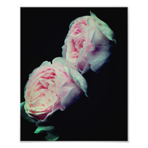 Roze Rozen Paar 8x10 Foto Afdruk