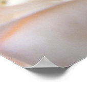 Roze rozen poster (Hoek)