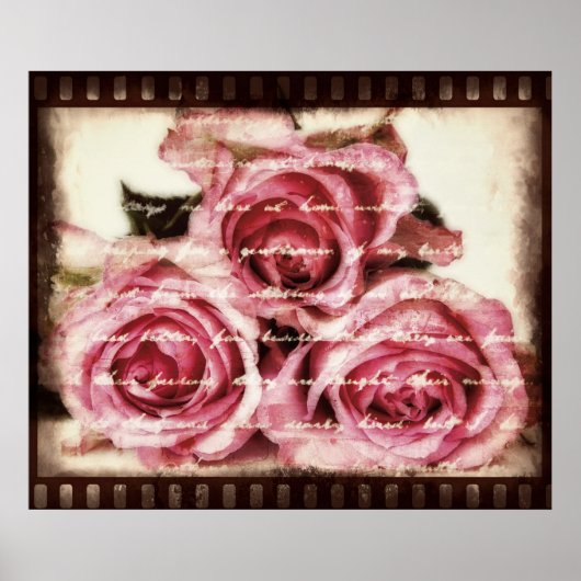 roze rozen poster (Voorkant)