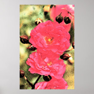 Roze Rozen Poster - Digitale foto Bloemenkunst