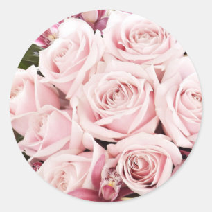 Roze rozen ronde sticker