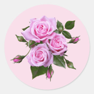 Roze rozen ronde stickers enveloppe zegels