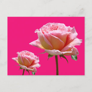 Roze rozen sluiten Cust. BG Kleur DIY Briefkaart