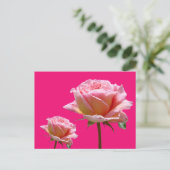 Roze rozen sluiten Cust. BG Kleur DIY Briefkaart (Staand voorkant)