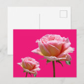 Roze rozen sluiten Cust. BG Kleur DIY Briefkaart (Voorkant / Achterkant)