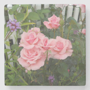 Roze rozen stenen onderzetter