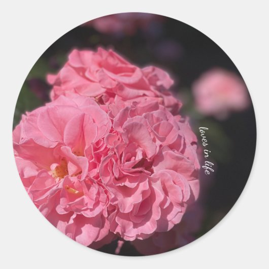 Roze Rozen stickers (Voorkant)
