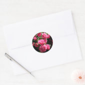 Roze rozen stickers (Envelop)