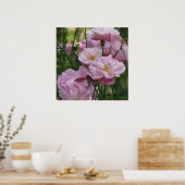 Roze Rozen van Noisette Poster (Keuken)