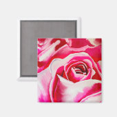 Roze rozen waterverf kunst magneet (Voorkant / Achterkant)