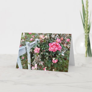 Roze Rozen Wenskaart Kaart