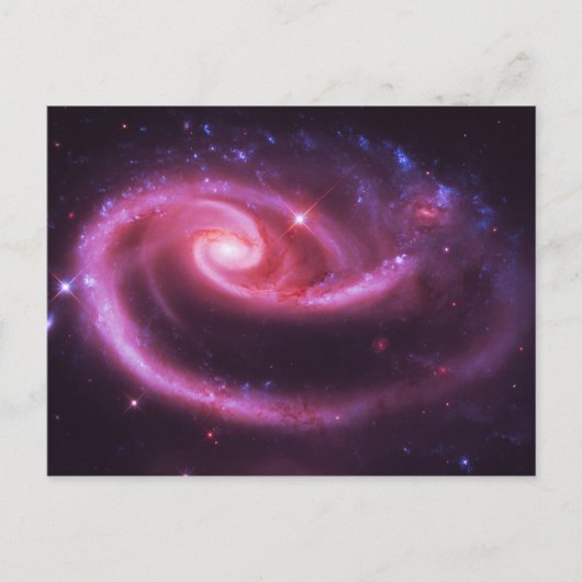 Roze rozenbijlen briefkaart (Voorkant)